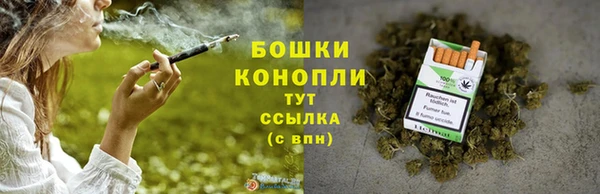 молекула духа Богданович