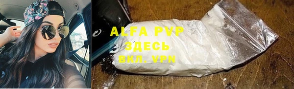молекула духа Богданович