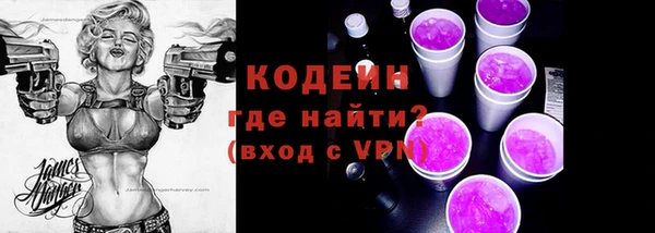 молекула духа Богданович