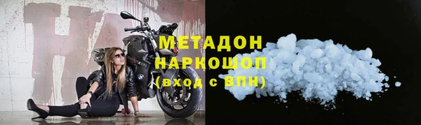 молекула духа Богданович
