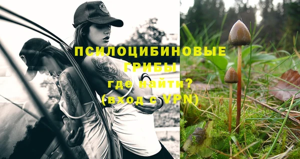 мяу мяу кристалл Богородицк
