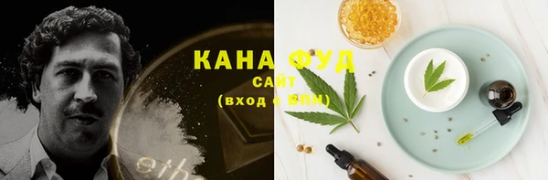 молекула духа Богданович
