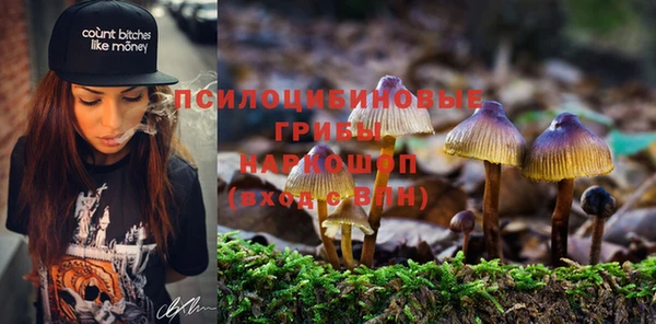 хмурый Богородск