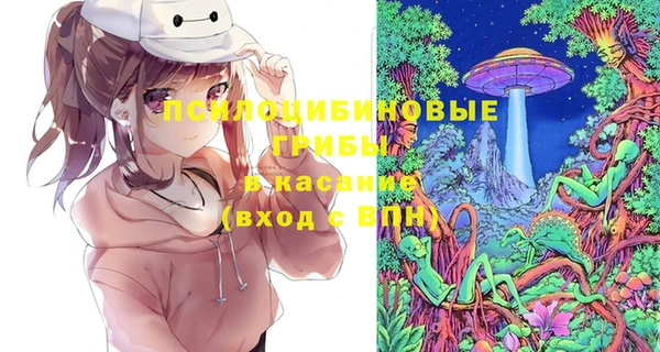 крисы Белоозёрский