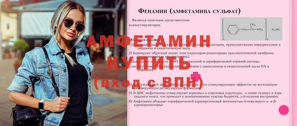 молекула духа Богданович